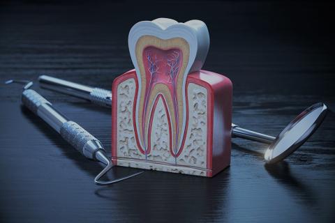Pulpita dentară: ce este, simptome, cauze și metode de tratament
