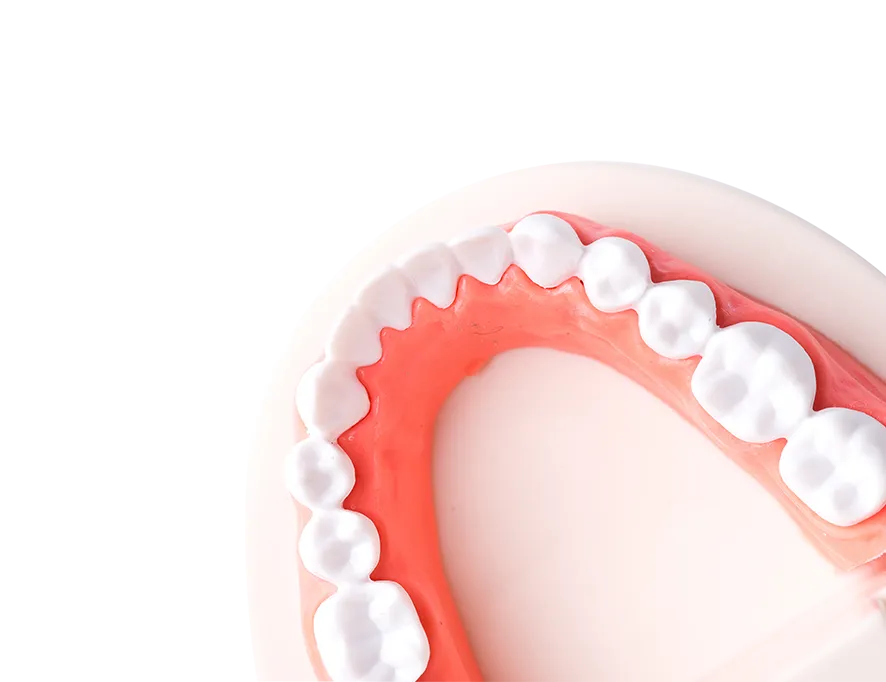 Parodontologie Parodontologie